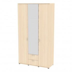 Шкаф с зеркалом Ольга H54_M в Нягани - nyagan.mebel24.online | фото 9