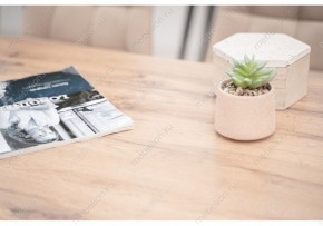 Стол обеденный Тринити Лофт 120 в Нягани - nyagan.mebel24.online | фото 6