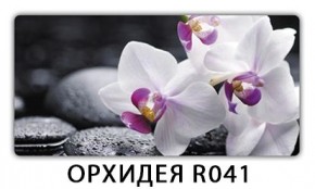 Стол раздвижной Бриз орхидея R041 Кофе R012 в Нягани - nyagan.mebel24.online | фото 1