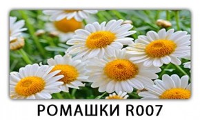 Стол раздвижной Трилогия с фотопечатью Доска D113 в Нягани - nyagan.mebel24.online | фото 15