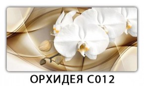 Стол раздвижной Трилогия с фотопечатью Лайм R156 в Нягани - nyagan.mebel24.online | фото 13