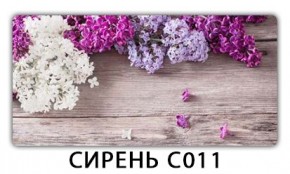 Стол раздвижной Трилогия с фотопечатью Лайм R156 в Нягани - nyagan.mebel24.online | фото 16