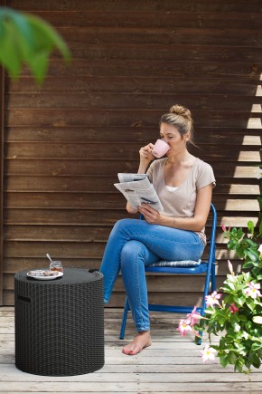 Столик-холодильник Кул-Стул (Cool stool) коричневый в Нягани - nyagan.mebel24.online | фото 2