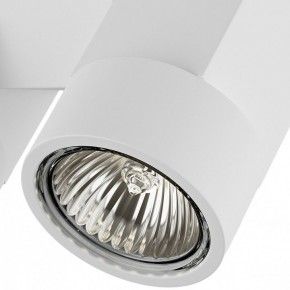 Светильник на штанге Lightstar Illumo X2 051036 в Нягани - nyagan.mebel24.online | фото 2