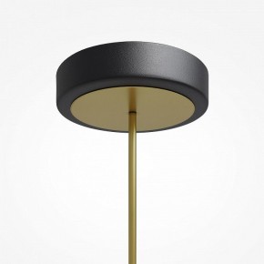 Светильник на штанге Maytoni Link MOD357PL-L40BS3K в Нягани - nyagan.mebel24.online | фото 7