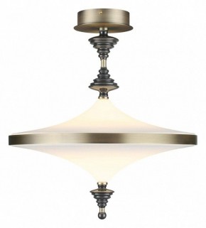 Светильник на штанге Odeon Light Ula 5404/43CL в Нягани - nyagan.mebel24.online | фото 2