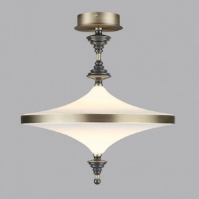 Светильник на штанге Odeon Light Ula 5404/43CL в Нягани - nyagan.mebel24.online | фото 3