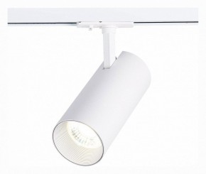 Светильник на штанге ST-Luce Mono ST350.536.30.36 в Нягани - nyagan.mebel24.online | фото 2