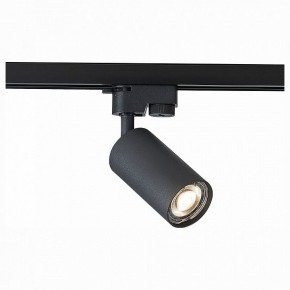 Светильник на штанге ST-Luce Solt ST300.406.01 в Нягани - nyagan.mebel24.online | фото 1