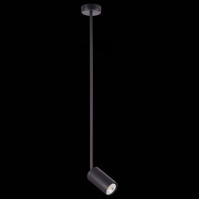 Светильник на штанге ST-Luce Sormano SL1206.403.01 в Нягани - nyagan.mebel24.online | фото 4