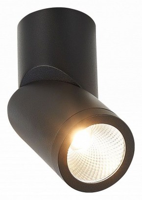 Светильник на штанге ST-Luce ST650 ST650.442.10 в Нягани - nyagan.mebel24.online | фото 2