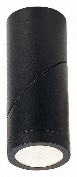 Светильник на штанге ST-Luce ST650 ST650.442.10 в Нягани - nyagan.mebel24.online | фото 3