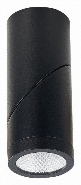 Светильник на штанге ST-Luce ST650 ST650.442.10 в Нягани - nyagan.mebel24.online | фото 4
