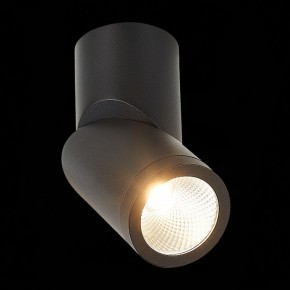 Светильник на штанге ST-Luce ST650 ST650.442.10 в Нягани - nyagan.mebel24.online | фото 5