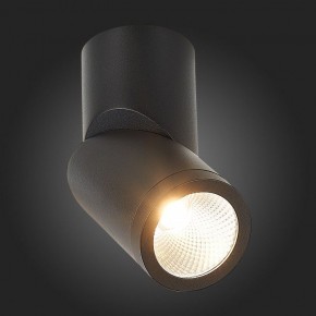 Светильник на штанге ST-Luce ST650 ST650.442.10 в Нягани - nyagan.mebel24.online | фото 6