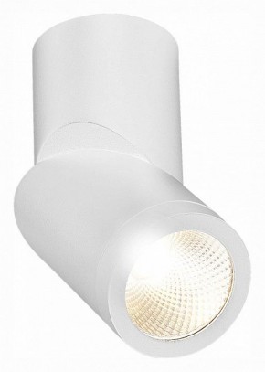 Светильник на штанге ST-Luce ST650 ST650.532.10 в Нягани - nyagan.mebel24.online | фото 3