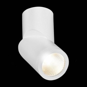 Светильник на штанге ST-Luce ST650 ST650.532.10 в Нягани - nyagan.mebel24.online | фото 5