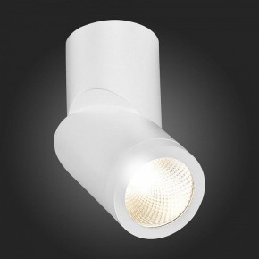 Светильник на штанге ST-Luce ST650 ST650.532.10 в Нягани - nyagan.mebel24.online | фото 6