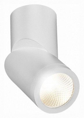 Светильник на штанге ST-Luce ST650 ST650.542.10 в Нягани - nyagan.mebel24.online | фото 3