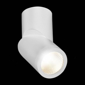 Светильник на штанге ST-Luce ST650 ST650.542.10 в Нягани - nyagan.mebel24.online | фото 5