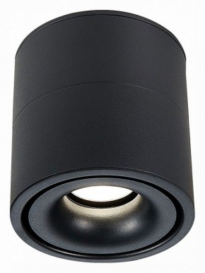Светильник на штанге ST-Luce ST652 ST652.442.12 в Нягани - nyagan.mebel24.online | фото 2