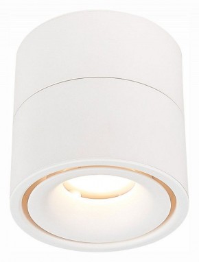 Светильник на штанге ST-Luce ST652 ST652.532.12 в Нягани - nyagan.mebel24.online | фото 2