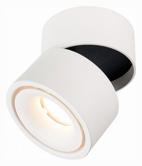 Светильник на штанге ST-Luce ST652 ST652.532.12 в Нягани - nyagan.mebel24.online | фото 3