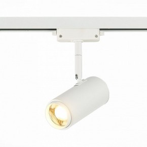 Светильник на штанге ST-Luce Zoom ST600.536.12 в Нягани - nyagan.mebel24.online | фото 2