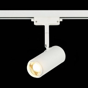 Светильник на штанге ST-Luce Zoom ST600.536.12 в Нягани - nyagan.mebel24.online | фото 4