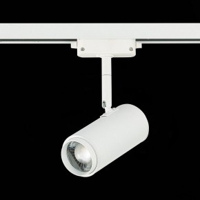 Светильник на штанге ST-Luce Zoom ST600.546.12 в Нягани - nyagan.mebel24.online | фото 5