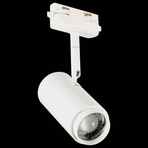 Светильник на штанге ST-Luce Zoom ST600.546.12 в Нягани - nyagan.mebel24.online | фото 6