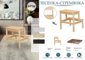 Табурет Стремянка в Нягани - nyagan.mebel24.online | фото 4