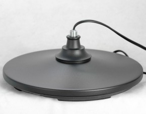 Торшер Lussole Greene LSP-0572 в Нягани - nyagan.mebel24.online | фото 4