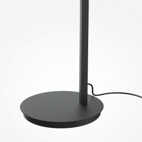 Торшер Maytoni Emphaty MOD363FL-L14B3K в Нягани - nyagan.mebel24.online | фото 5