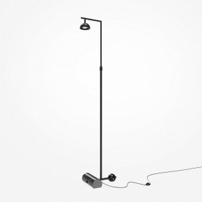 Торшер Maytoni Pikant MOD372FL-L10B3K в Нягани - nyagan.mebel24.online | фото 2