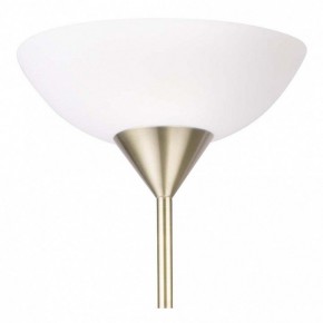 Торшер с подсветкой Arte Lamp Duetto A9569PN-2AB в Нягани - nyagan.mebel24.online | фото 5