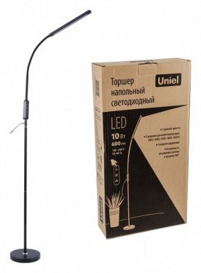 Торшер Uniel ULM-T619 UL-00010178 в Нягани - nyagan.mebel24.online | фото 4