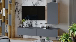 Тумба под ТВ Порто СМ-393.03.011 в Нягани - nyagan.mebel24.online | фото 5