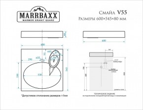 Умывальник над стиральной машиной (600*545*80) Смайл V55D1 (белый) с кронштейном без сифона (V55D1) в Нягани - nyagan.mebel24.online | фото 2