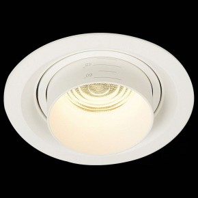 Встраиваемый светильник ST-Luce Zoom ST701.538.12 в Нягани - nyagan.mebel24.online | фото 4