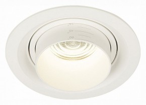 Встраиваемый светильник ST-Luce Zoom ST701.548.12 в Нягани - nyagan.mebel24.online | фото 2